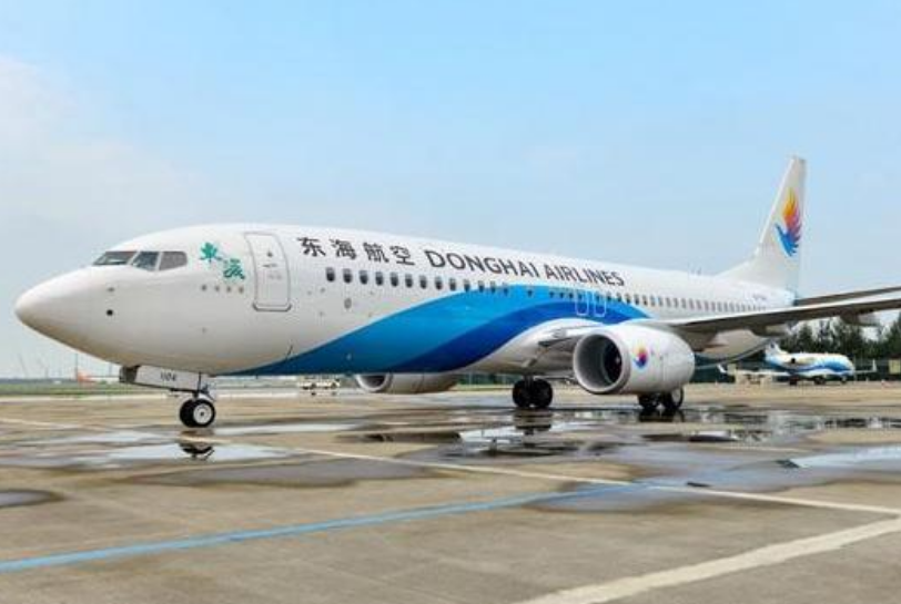 飞行途中，男机长和乘务长互殴，东海航空回应：已暂时停飞，会配合调查