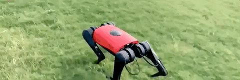 冲上热搜的这款国产“阿法狗”，究竟是什么来头？