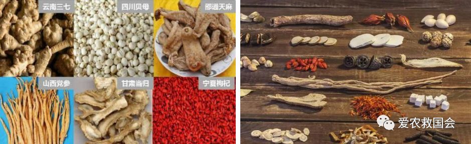 茶人借鉴：中医药特色小镇的发展与思考