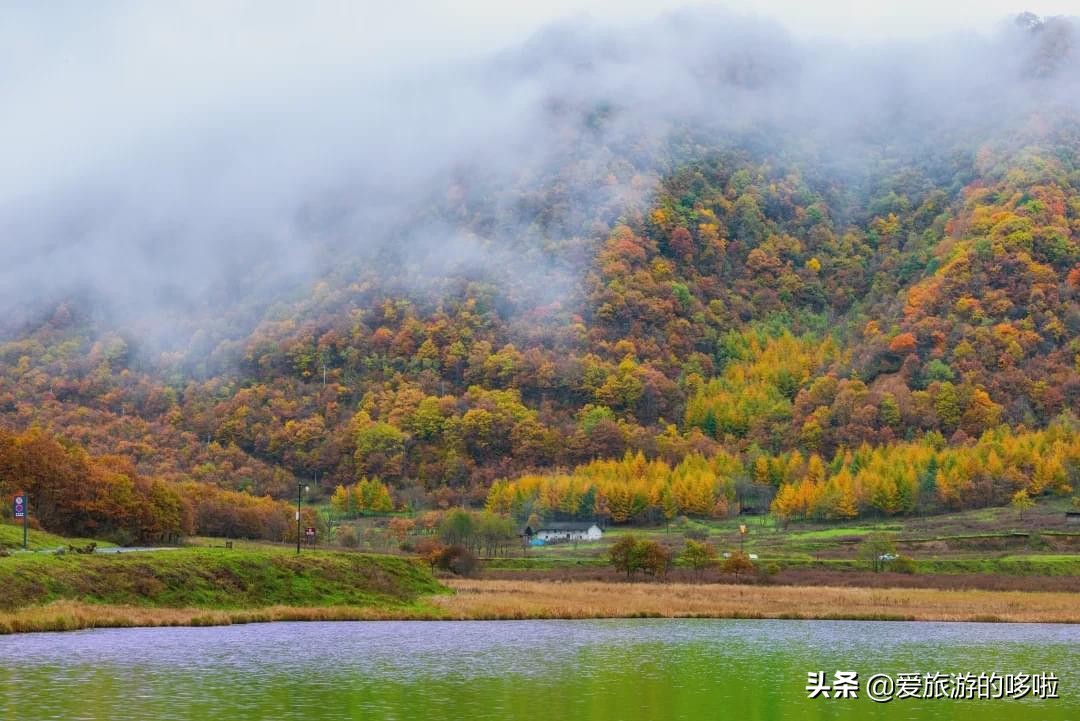 The best place to travel in October-November, the late autumn tour bus is about to depart