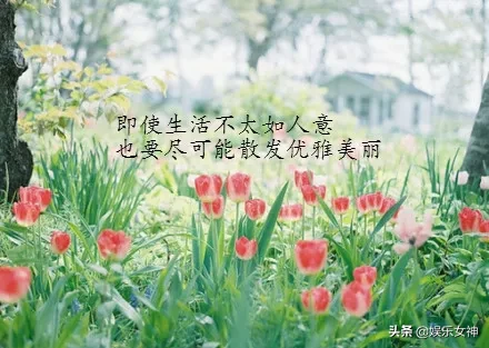 人生，哪能事事如意，生活，哪能样样顺心，早安
