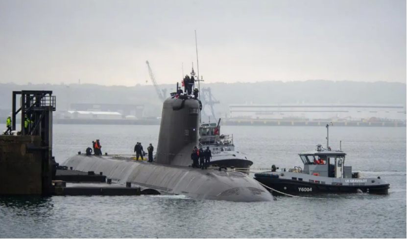 虽为“小身材”但却拥有不凡“本领”的法国海