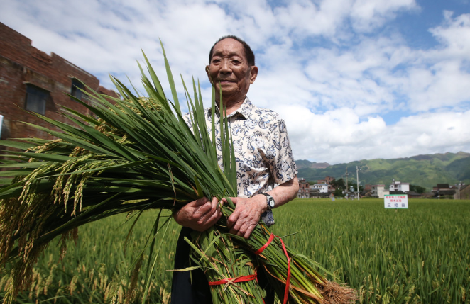 一夜之間漲粉千萬，為何我們不能“神化”袁隆平院士？
