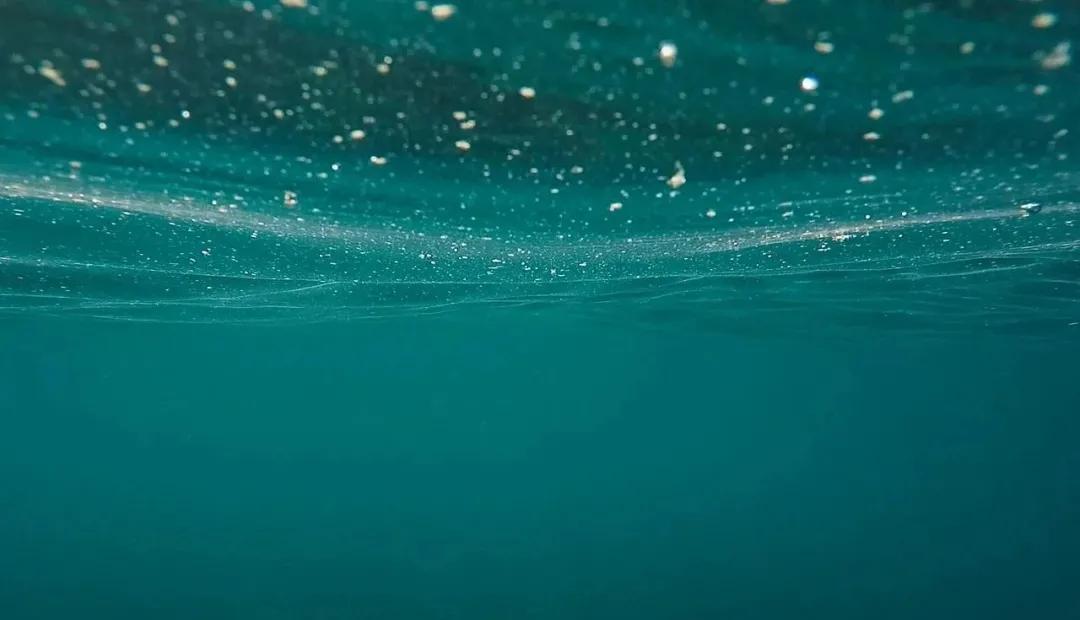如何高效实现水下航行器的无线充电？哈工大科研人员发布研究成果