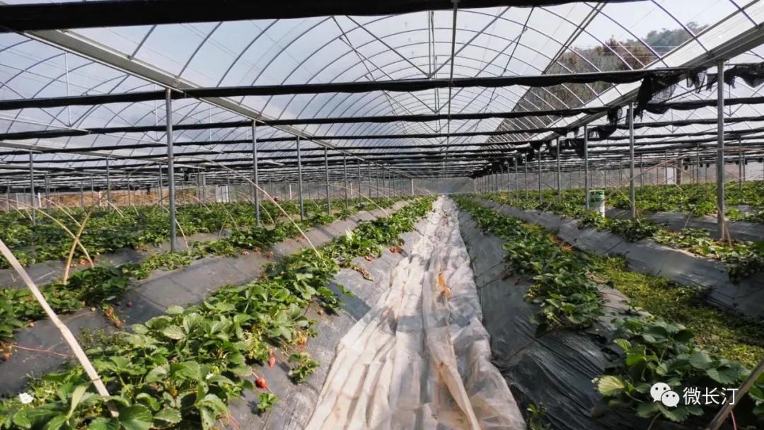 é¿æ±å¿æ°æ¡¥éä½éæï¼ç¨å¥½ä¼å¿èµ°åæ¯å´