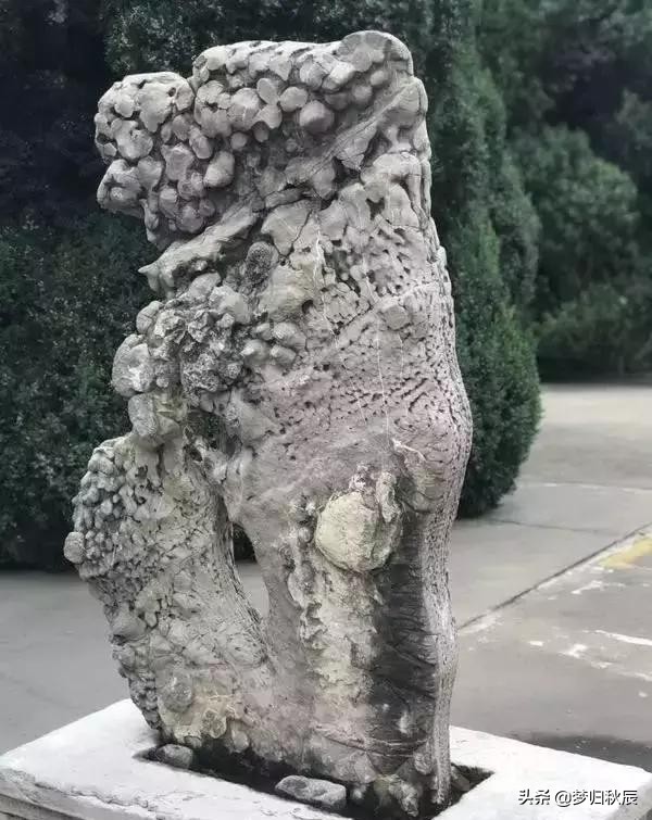 我国历史上爵位最高的奸臣：四次为相并官至鲁