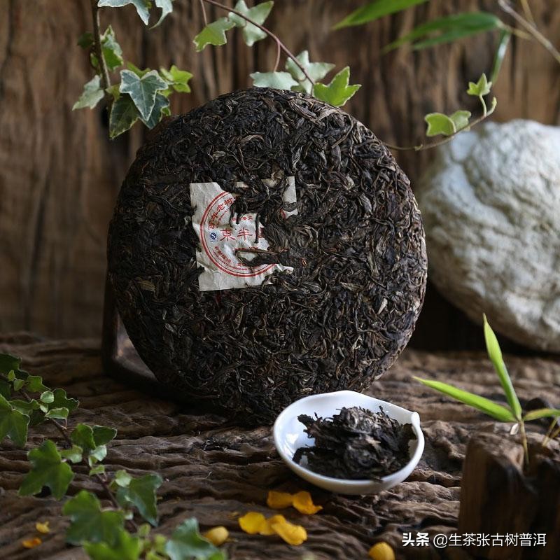 走进普洱茶临沧茶区，详细了解临沧各个茶山的特点，你喝过哪个？