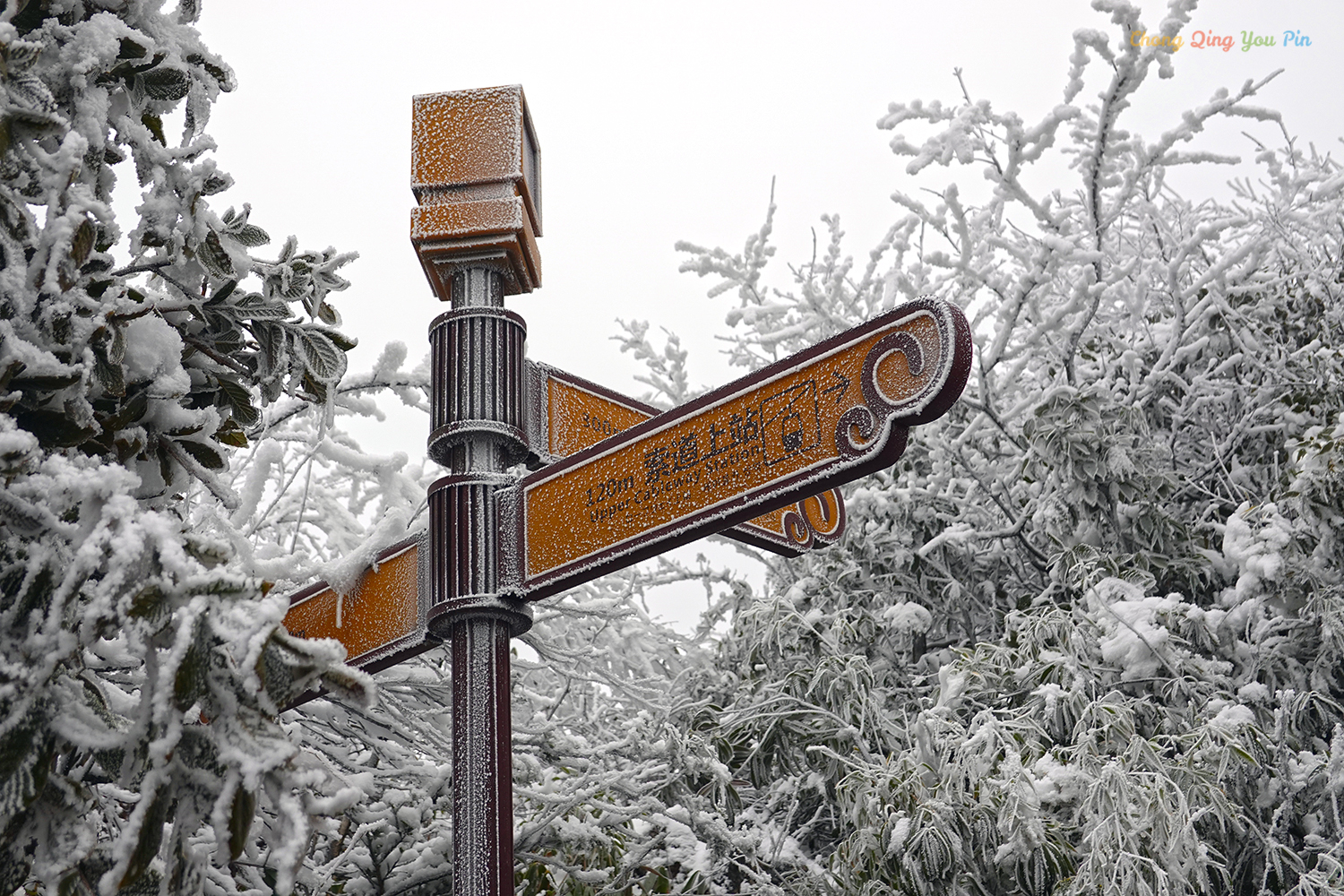 重庆难得的滑雪胜地，冬日里的金佛山，南方人也能看雪了
