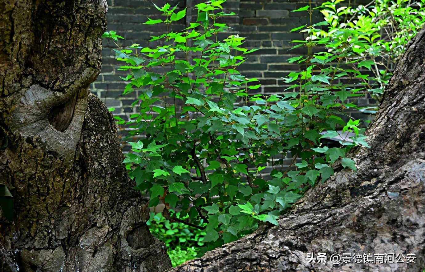 描写山水的五言绝句-第5张图片-诗句网