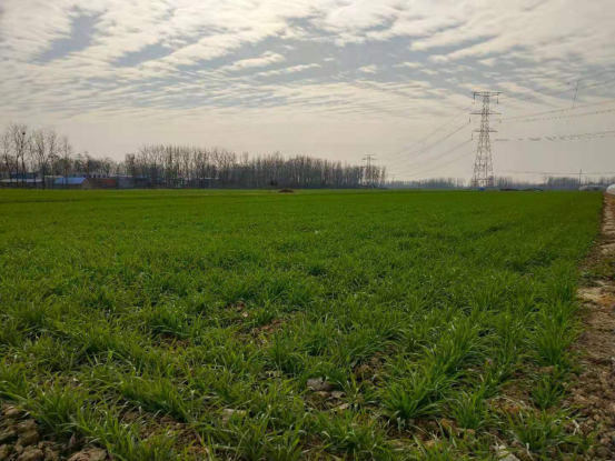 河南省方城县：保护节约耕地 筑牢粮仓基石