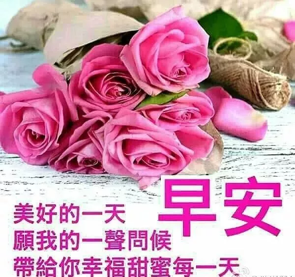 早安最短精句 最能打动人心的早安问候图片