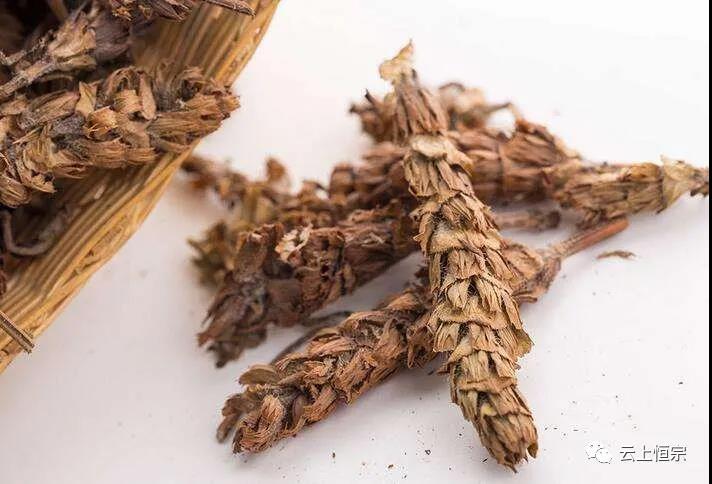 恒宗中医药健康大讲堂第五期——“高血压的预防与治疗”