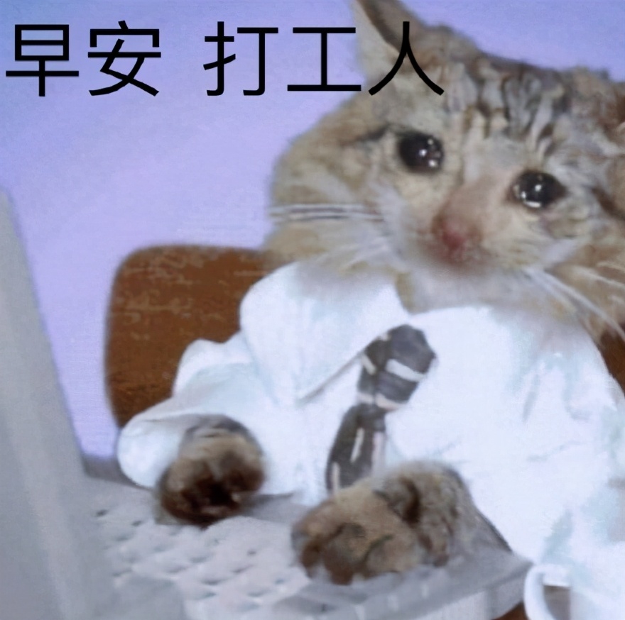 早安打工人火爆全网新时代上班族的带着辛酸的自我调侃