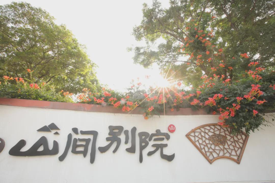 老杨和老林：从两头“文学小青年”到两个“造院大叔”