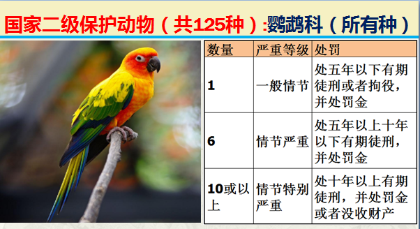 国家最新125类二级野生保护名录，图片及违法对应刑责