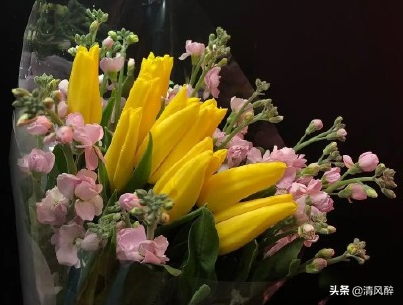 qq发说说的句子情话 QQ空间简单爱情说说短句图片