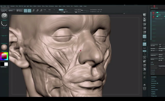 教学｜比较难的人体构造建模，用zbrush构建脸部肌肉和五官