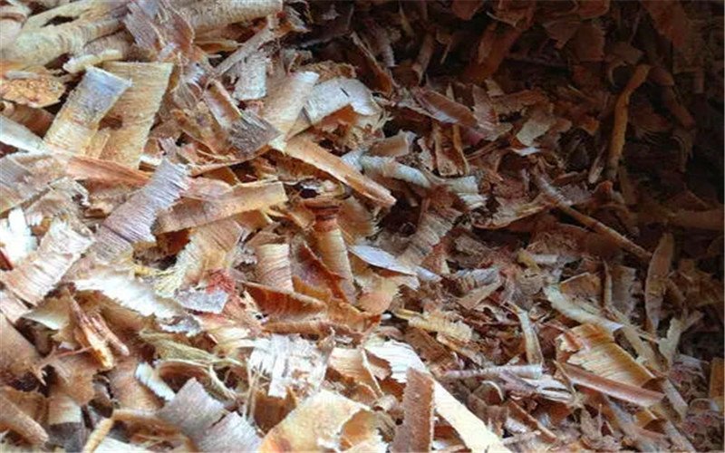 50多岁的人创业，想在农村开个小工厂，有哪些项目可以选择？