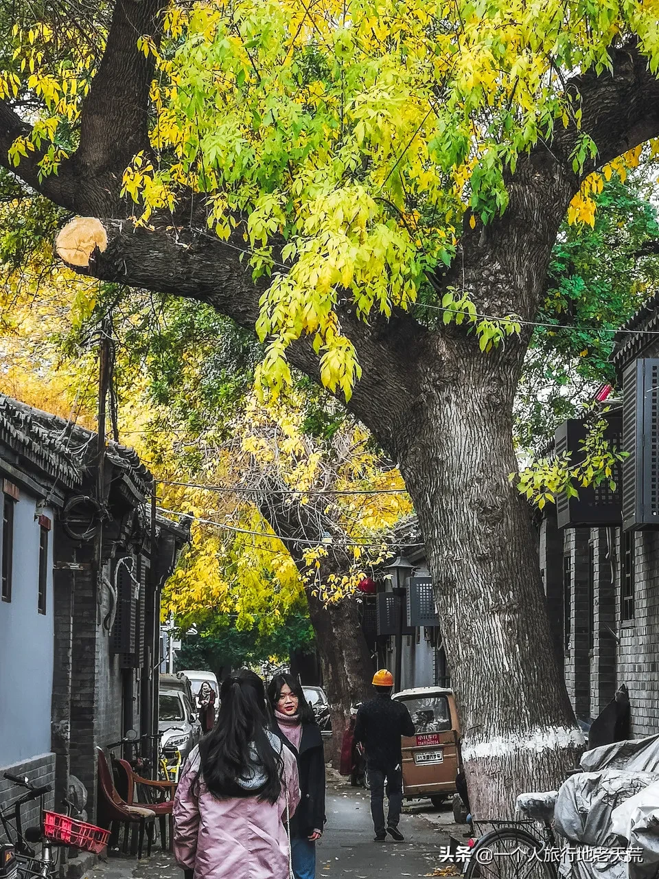 一入秋，最地道老北京突然刷爆朋友圈