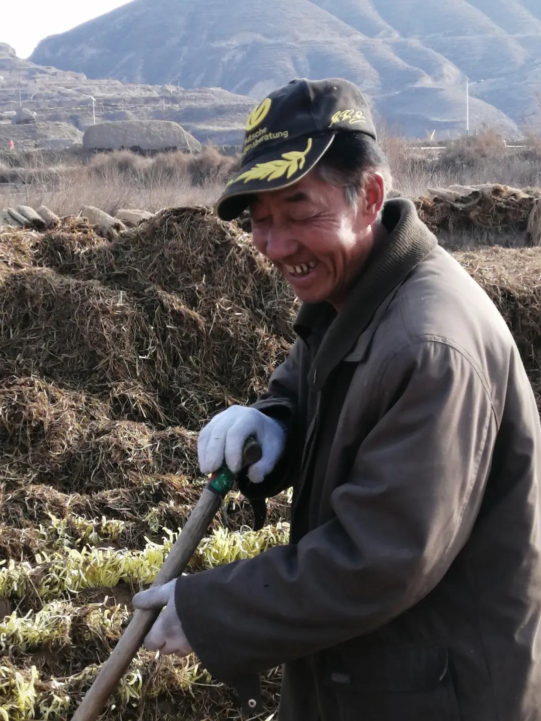 一地韭黄，圆了两个梦