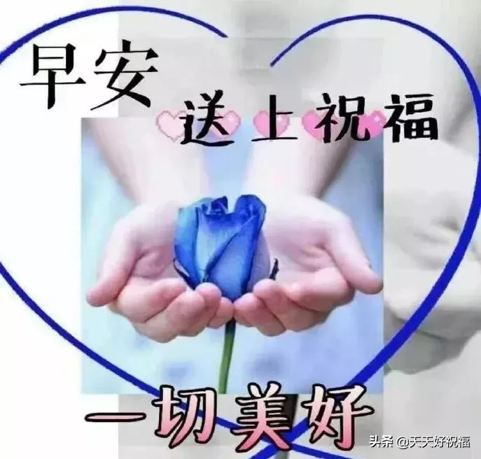 清晨问候早安的简短语句，新的一天早安祝福语精美语句图片