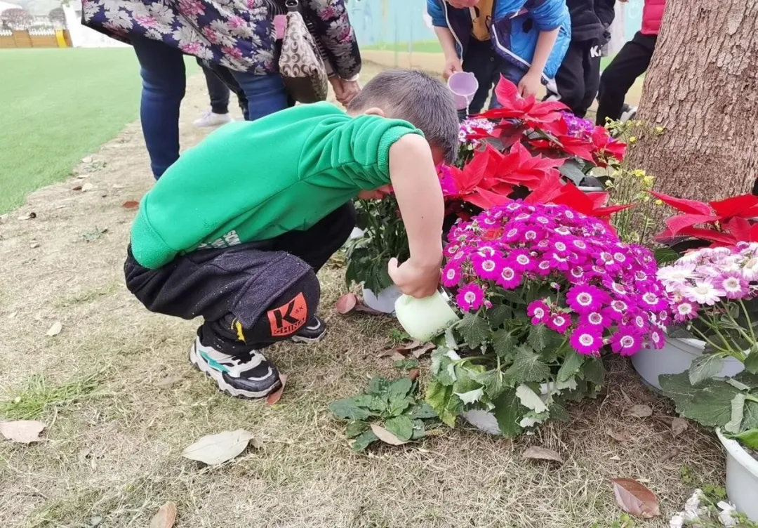 绿色的希望在校园萌芽——四川天府特校开展爱绿护绿行动