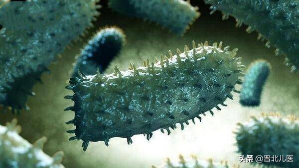 农乐生物 疫情来袭,来了解一下微生物!