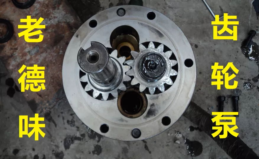 机油标号正确就万事大吉？你太好骗了！从此不交智商税