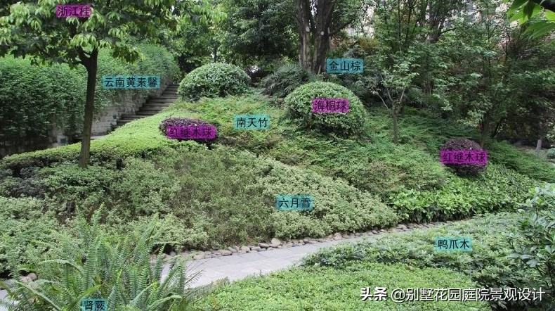 別墅庭院常用植物分享，附照片及名字標(biāo)注（珍藏版）