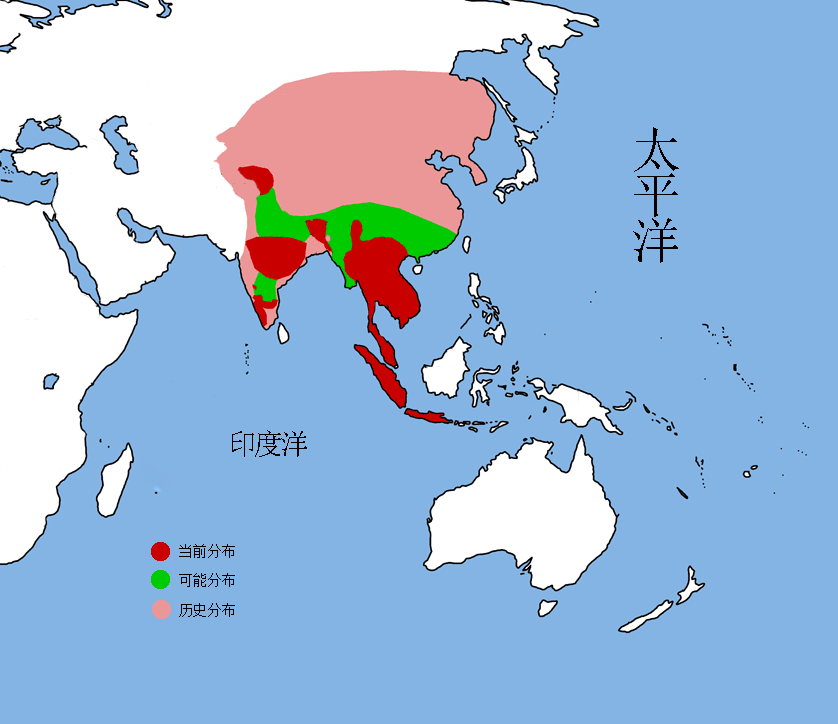 農村人口中亦正亦邪的猛獸，豺狗真的會保護人嗎？