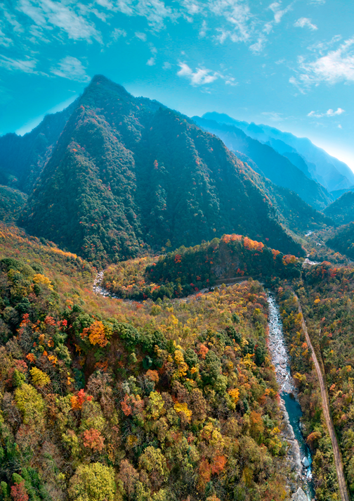 四川|媲美光雾山！平武这条沟，藏着一个惊艳的彩林秘境！