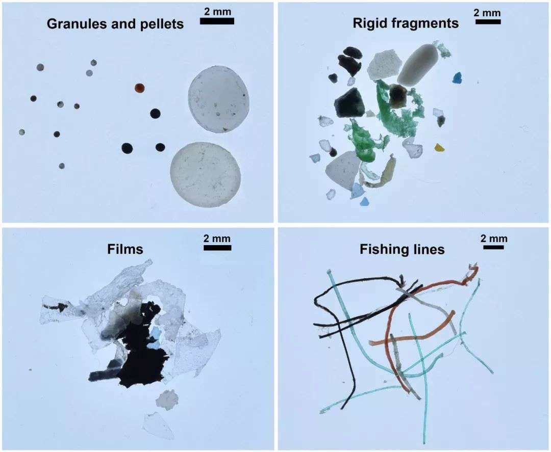 用紙杯喝熱飲，15分鍾釋放幾萬個微塑料顆粒，都進了我們身體