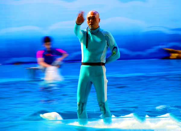 山东旅游：蓬莱探秘海洋极地世界（图）