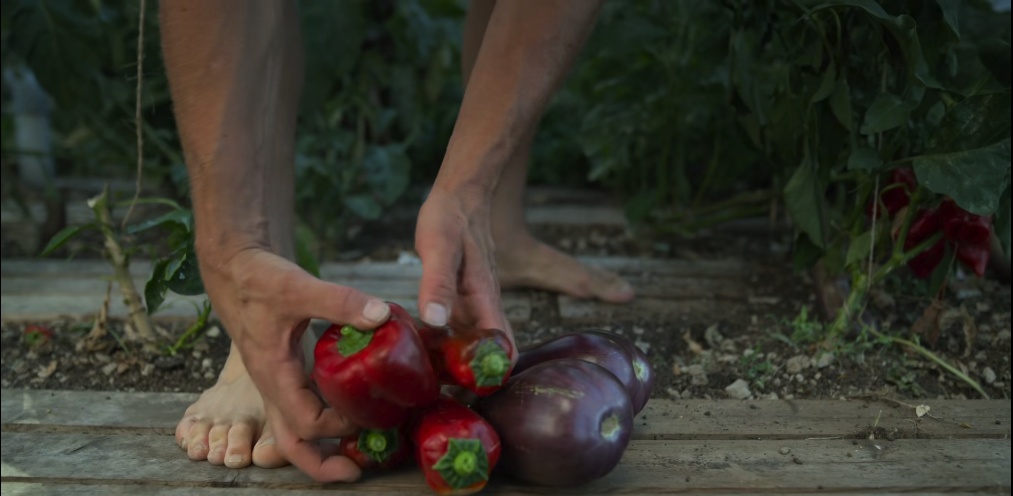 瑞典夫妻花12年为自闭症儿子建了座玻璃城堡：所