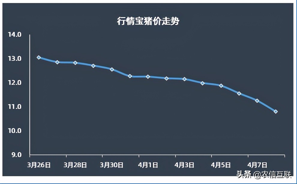 猪价坍塌下跌，养猪人苦不堪言！2个坏消息传来，9元猪价不保？