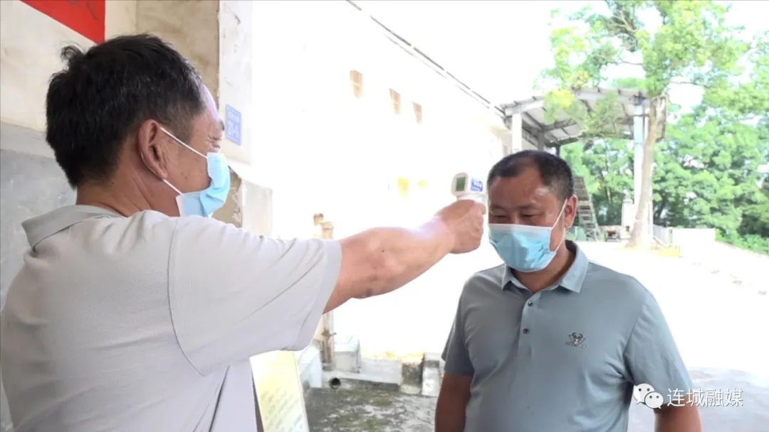 防疫不误农时 连城县夏粮收购全面开启