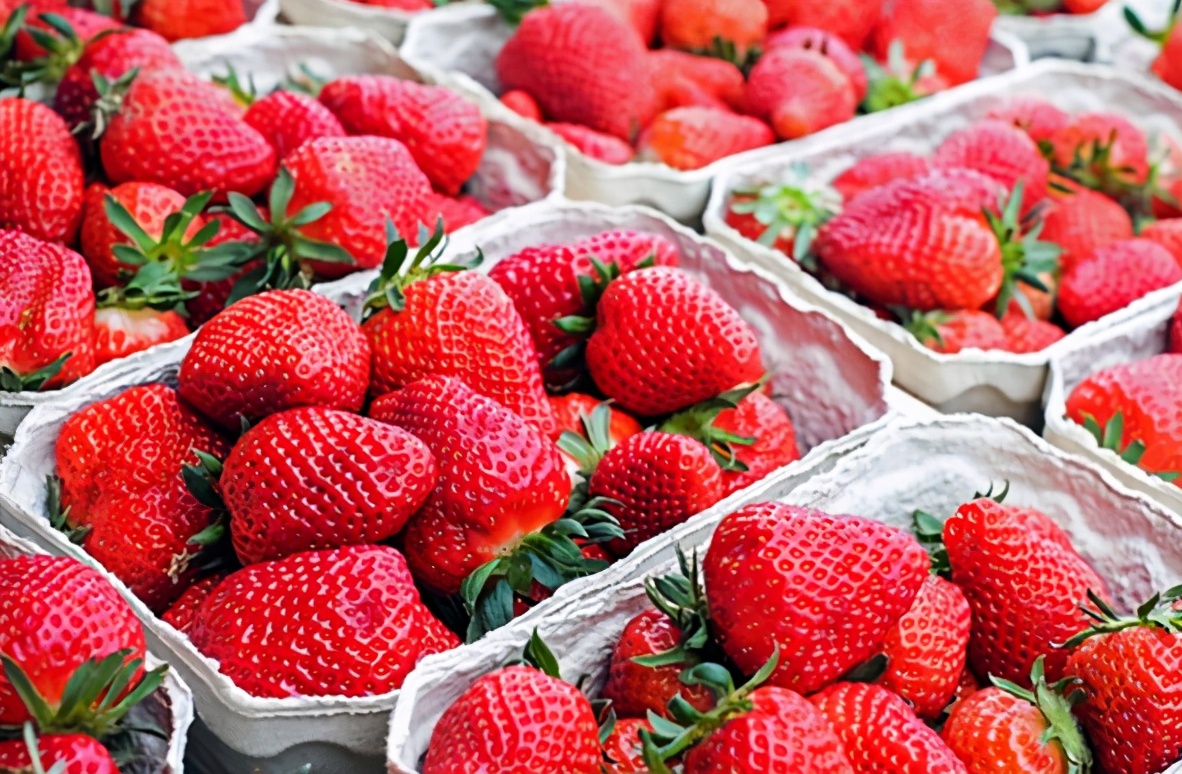 图片[4]-买草莓技巧 “这3种”草莓千万别买 水果贩自己都不吃-起舞食谱网
