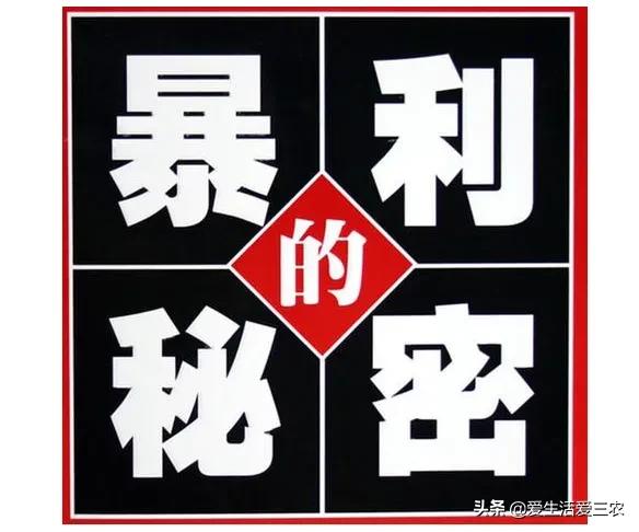 现在能闷声发大财的行业？