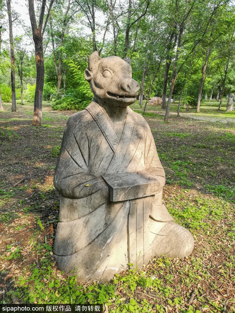 免門票!森林公園裡藏著個“小內蒙古”,還免費停車~