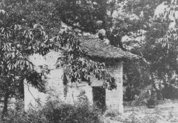 毛泽民的悲壮长征，送走国家银行6位烈士，却没