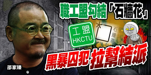 “石墙花”急散档！养暴诡计败露，妄图金蝉脱壳，国安法必追讨