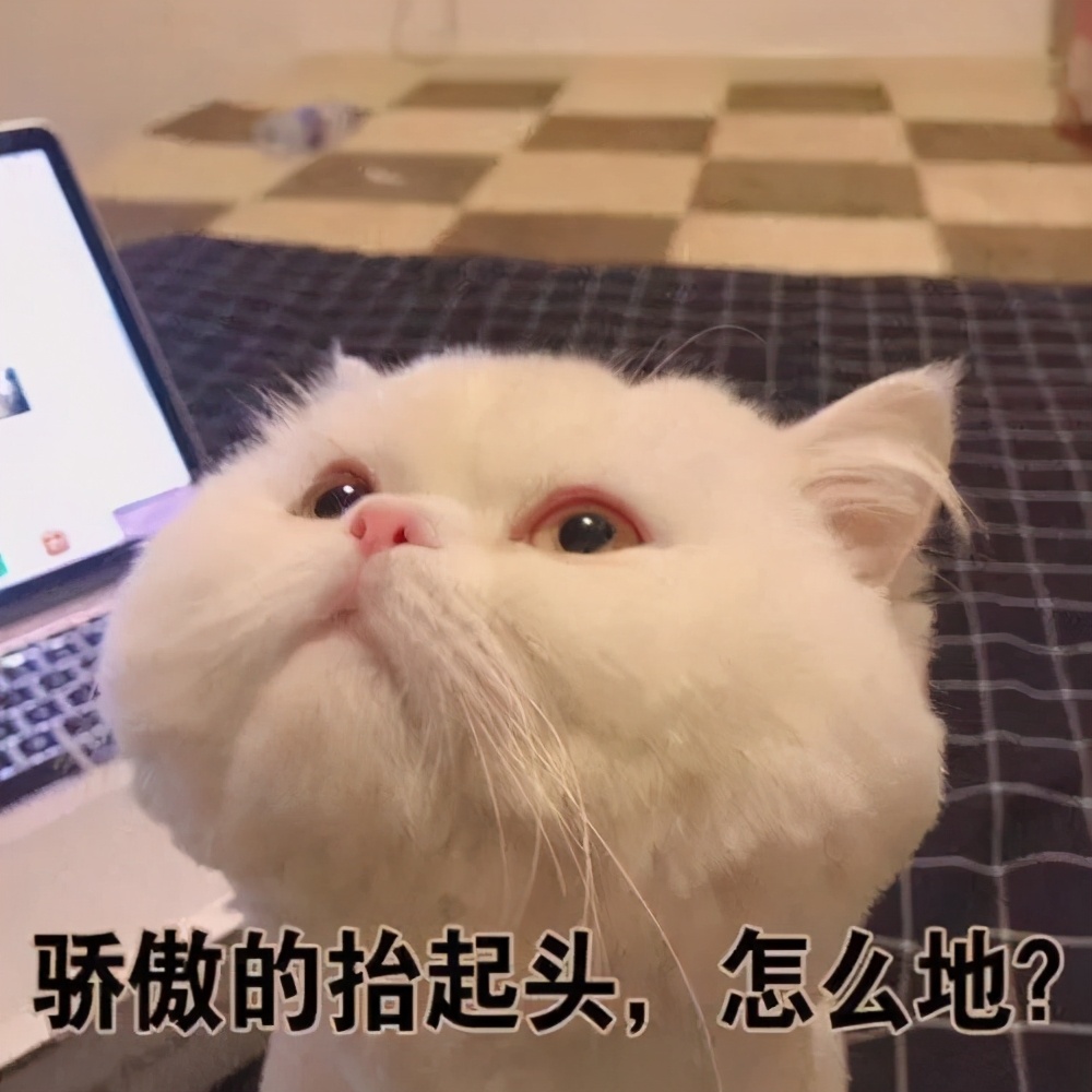 为了卖药，医药代表能有多拼