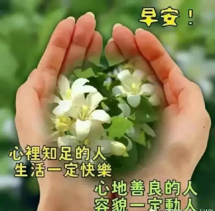 早上好问候祝福图片带字，最美清晨早安动态表情图片图片