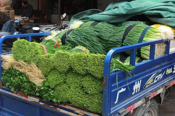 集市上摆摊卖菜的大妈,利用自媒体运营,年收入25万,她怎么做的