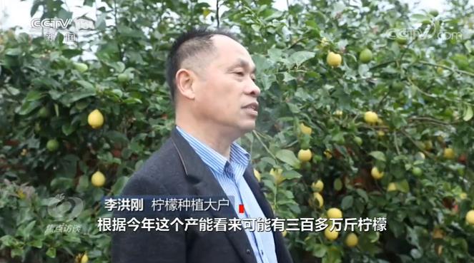 焦点访谈丨一颗“小柠檬”如何撬动大循环？企业创新孕育的财富密码→