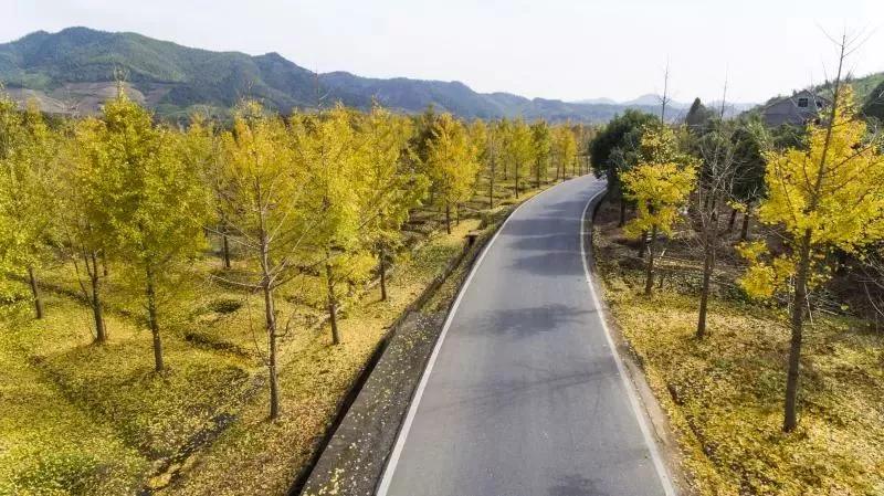 这颗冠绝群山的明珠，用什么密码开启未来乡村的模样？
