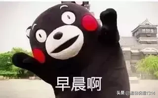 每天一句简单的问候语 早上好祝福短句子图片