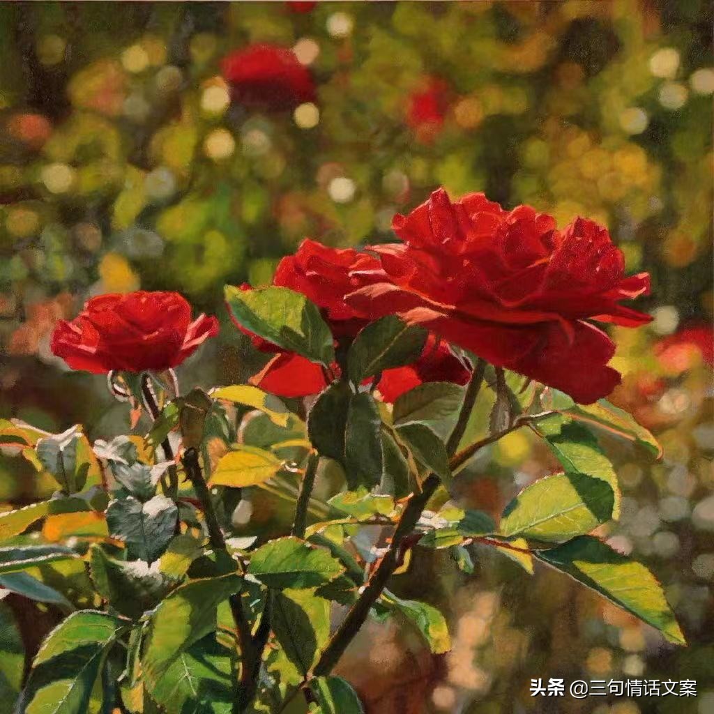 最动人的温柔情话，暖心有爱，令人心动图片