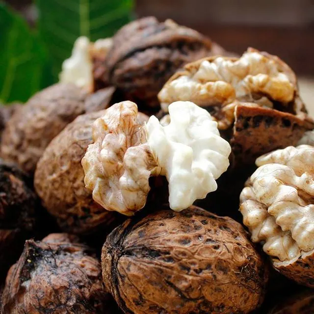 How delicious are fresh walnuts?