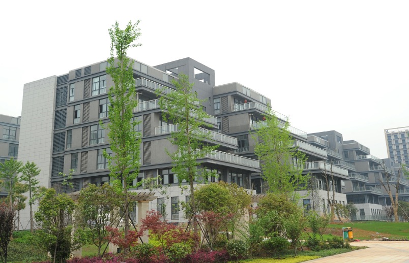 这是日本“窑洞房”，嵌入山体打造梯田式集合